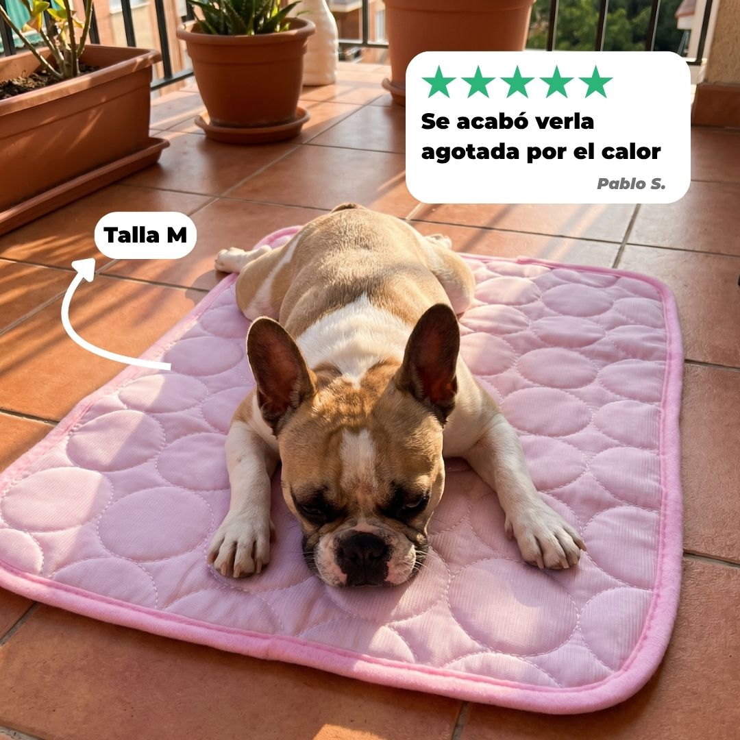 Alfombrilla Refrescante para Mascotas