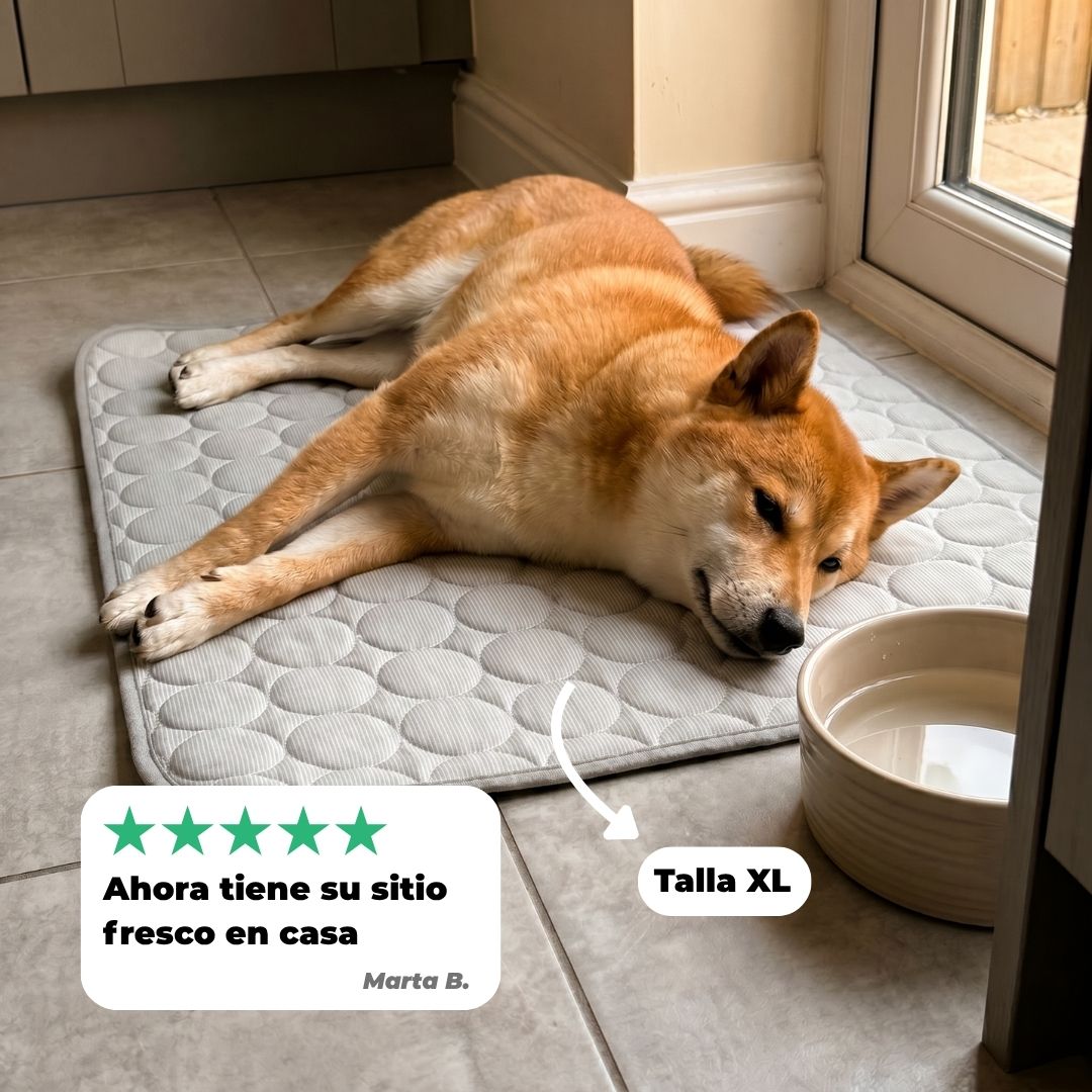 Alfombrilla Refrescante para Mascotas