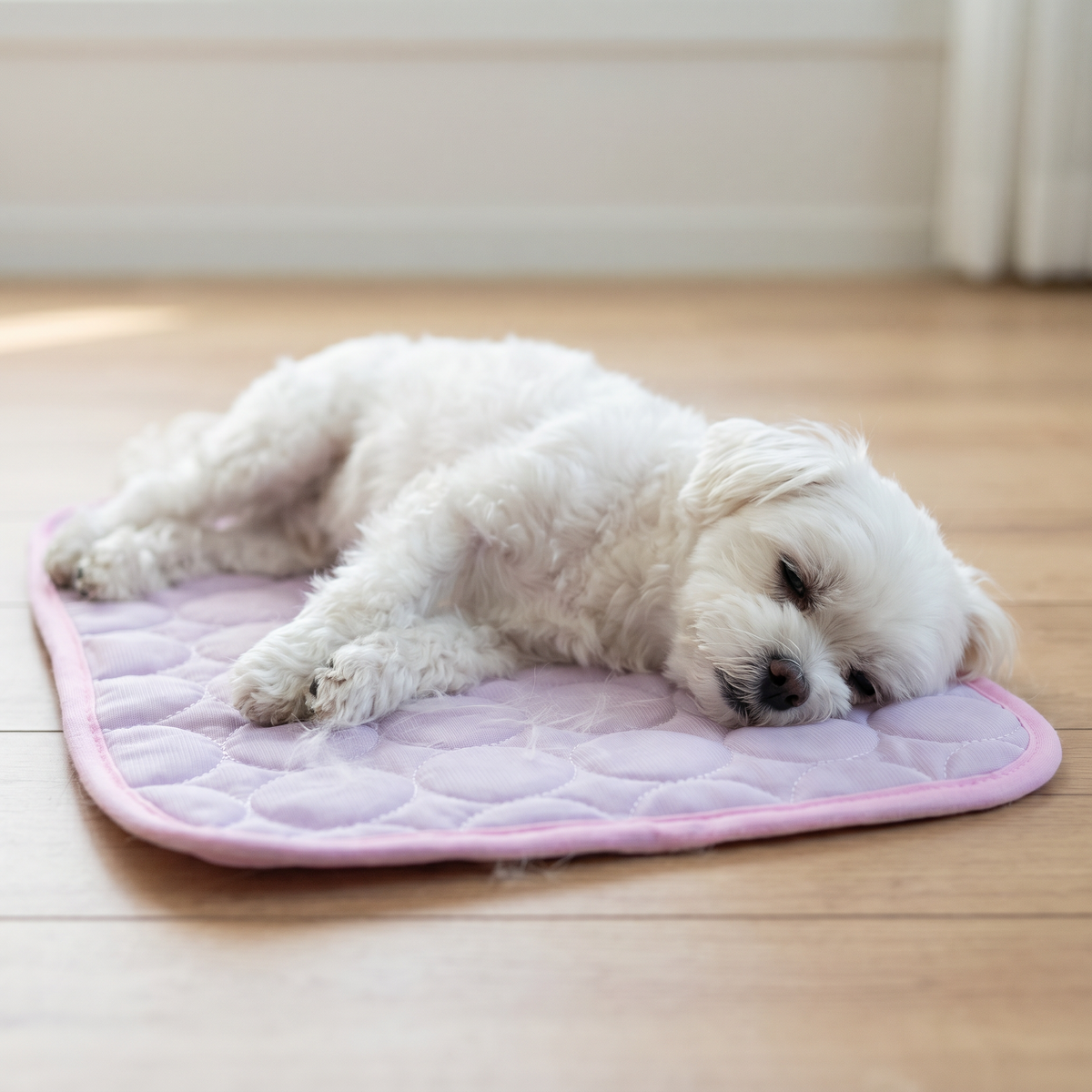 Alfombrilla Refrescante para Mascotas